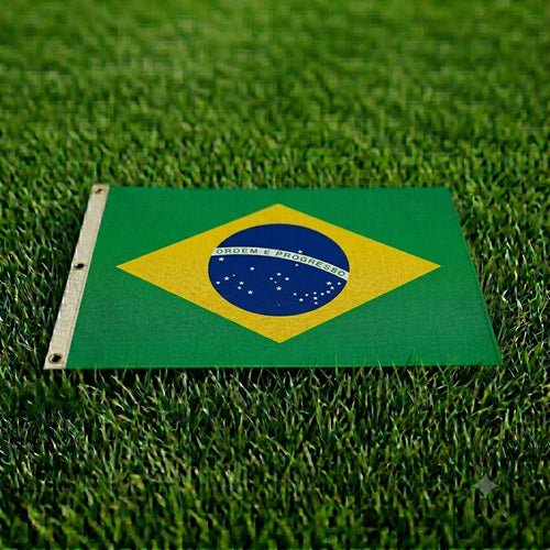Bandera de Brasil 90x150cm El Escudazo